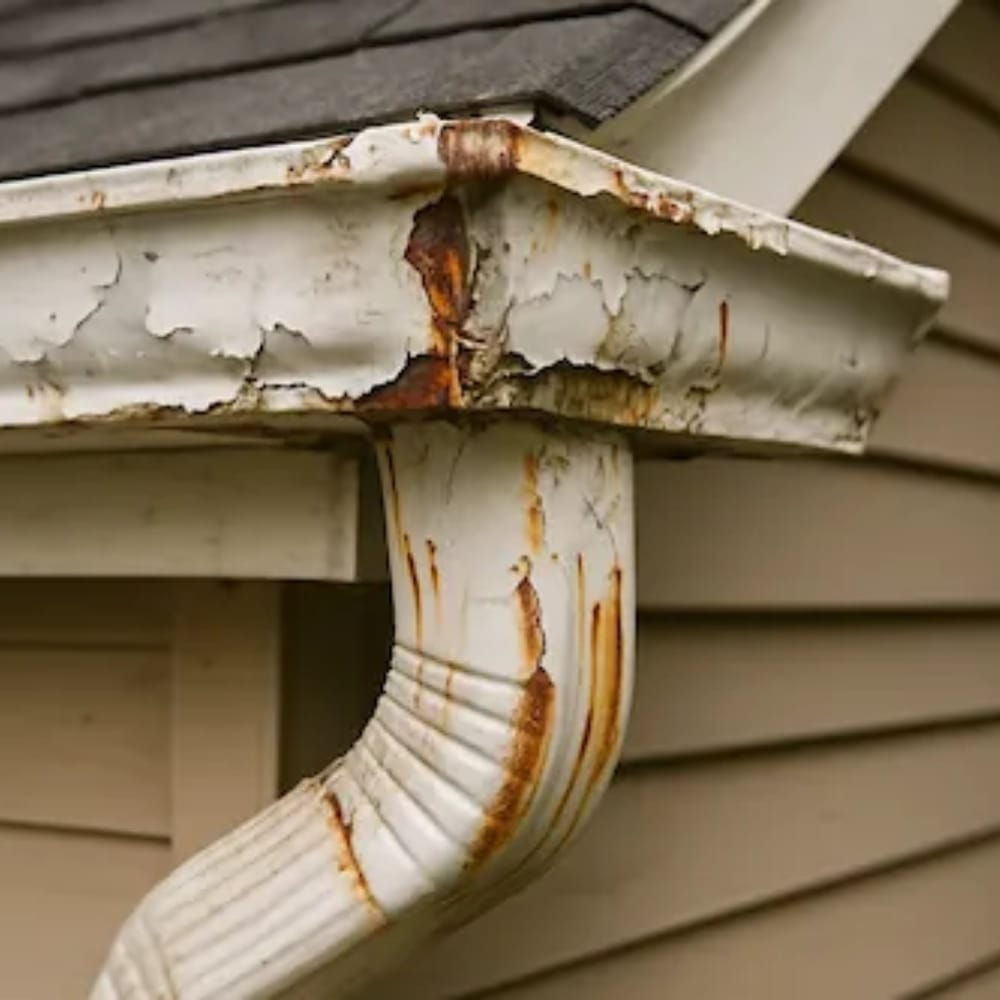 Close-up of a house gutter and downspout with peeling paint and visible rust on the metal surface, attached to siding and a shingled roof. Close-up of a house gutter and downspout with peeling paint and visible rust on the metal surface, attached to siding and a shingled roof.