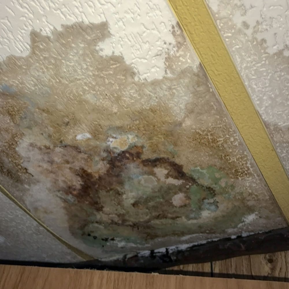 Ceiling with large water damage and mold stains, showing discoloration and patchy areas near yellow ceiling strips and wood paneling. Ceiling with large water damage and mold stains, showing discoloration and patchy areas near yellow ceiling strips and wood paneling.